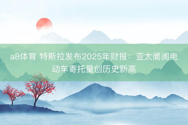 a8体育 特斯拉发布2025年财报:亚太阛阓电动车寄托量创历史新高