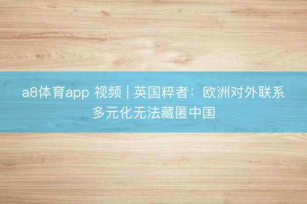a8体育app 视频 | 英国粹者：欧洲对外联系多元化无法藏匿中国