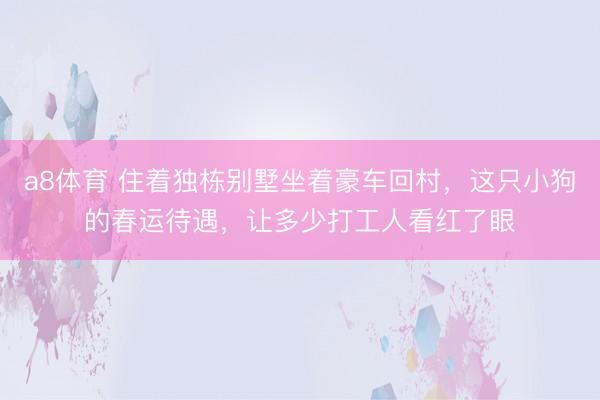 a8体育 住着独栋别墅坐着豪车回村，这只小狗的春运待遇，让多少打工人看红了眼