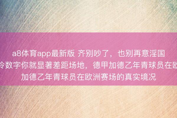 a8体育app最新版 齐别吵了,也别再意淫国足了,看完这组冰冷数字你就显著差距场地,德甲加德乙年青球员在欧洲赛场的真实境况