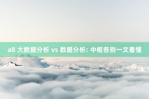 a8 大数据分析 vs 数据分析: 中枢各别一文看懂