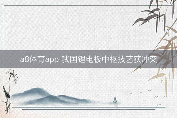 a8体育app 我国锂电板中枢技艺获冲突