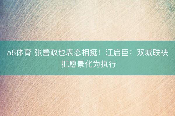 a8体育 张善政也表态相挺！江启臣：双城联袂 把愿景化为执行