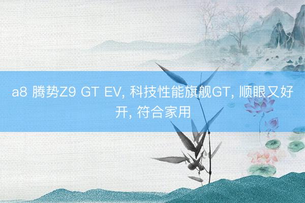 a8 腾势Z9 GT EV, 科技性能旗舰GT, 顺眼又好开, 符合家用
