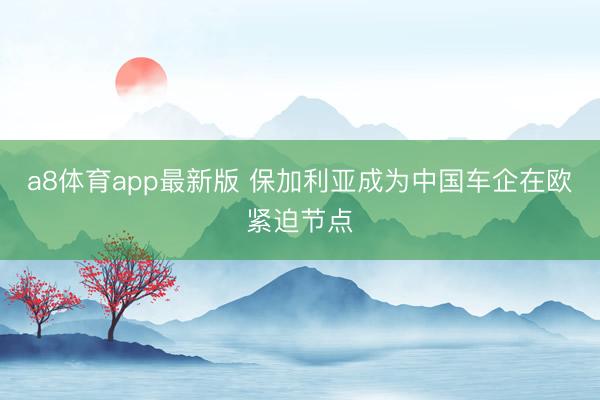 a8体育app最新版 保加利亚成为中国车企在欧紧迫节点