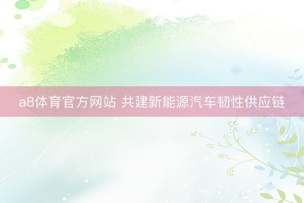 a8体育官方网站 共建新能源汽车韧性供应链