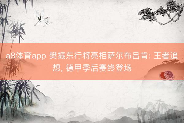 a8体育app 樊振东行将亮相萨尔布吕肯: 王者追想, 德甲季后赛终登场