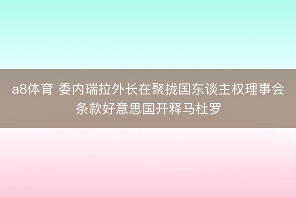 a8体育 委内瑞拉外长在聚拢国东谈主权理事会条款好意思国开释马杜罗