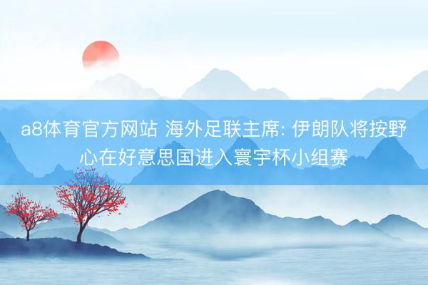 a8体育官方网站 海外足联主席: 伊朗队将按野心在好意思国进入寰宇杯小组赛