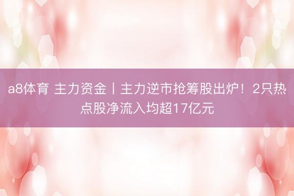 a8体育 主力资金丨主力逆市抢筹股出炉!2只热点股净流入均超17亿元