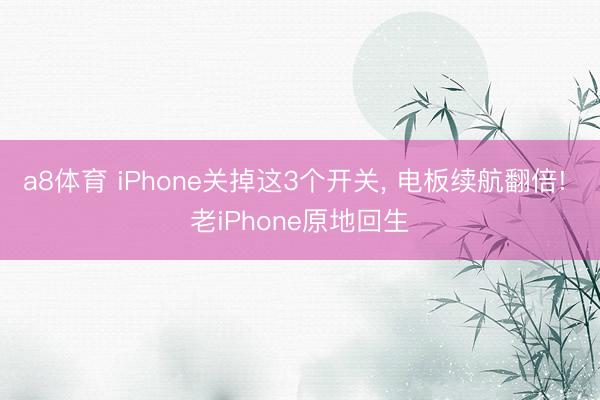 a8体育 iPhone关掉这3个开关, 电板续航翻倍! 老iPhone原地回生