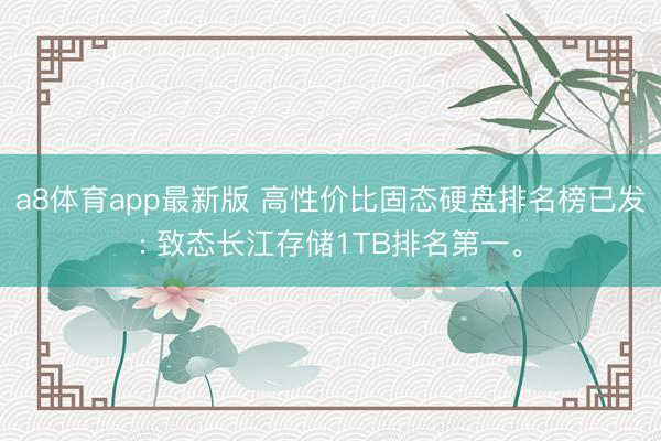 a8体育app最新版 高性价比固态硬盘排名榜已发: 致态长江存储1TB排名第一。