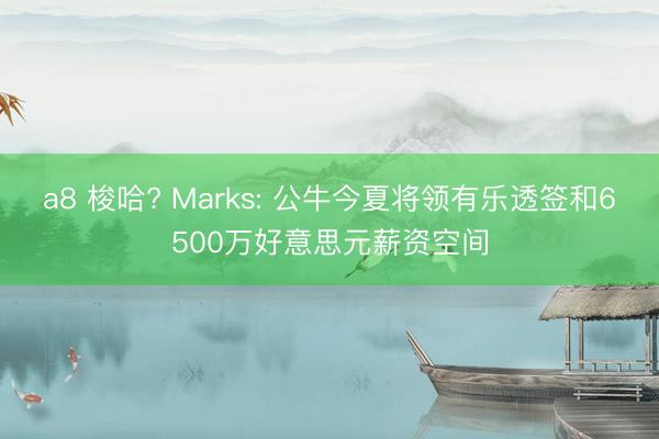 a8 梭哈? Marks: 公牛今夏将领有乐透签和6500万好意思元薪资空间