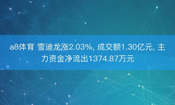 a8体育 雪迪龙涨2.03%, 成交额1.30亿元, 主力资金净流出1374.87万元
