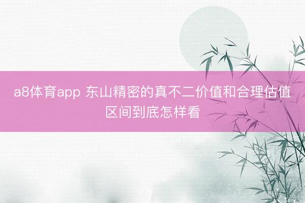 a8体育app 东山精密的真不二价值和合理估值区间到底怎样看