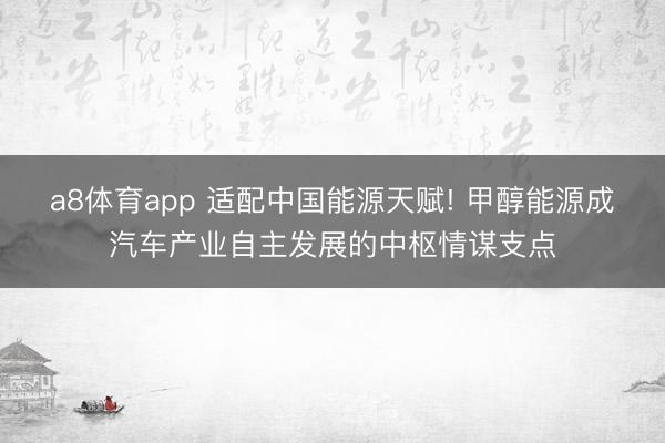 a8体育app 适配中国能源天赋! 甲醇能源成汽车产业自主发展的中枢情谋支点