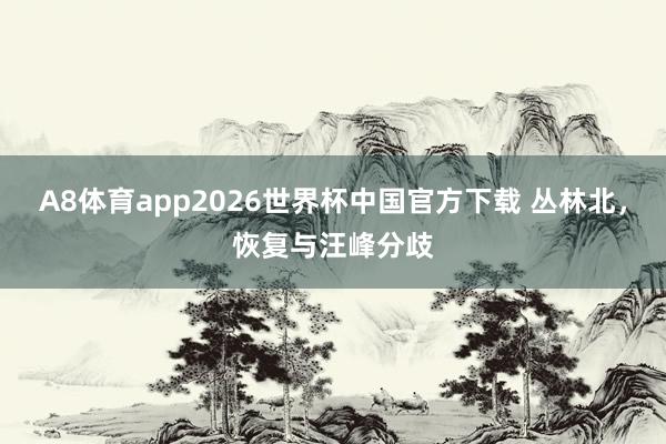 A8体育app2026世界杯中国官方下载 丛林北，恢复与汪峰分歧