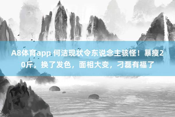 A8体育app 何洁现状令东说念主骇怪!暴瘦20斤,换了发色,面相大变,刁磊有福了