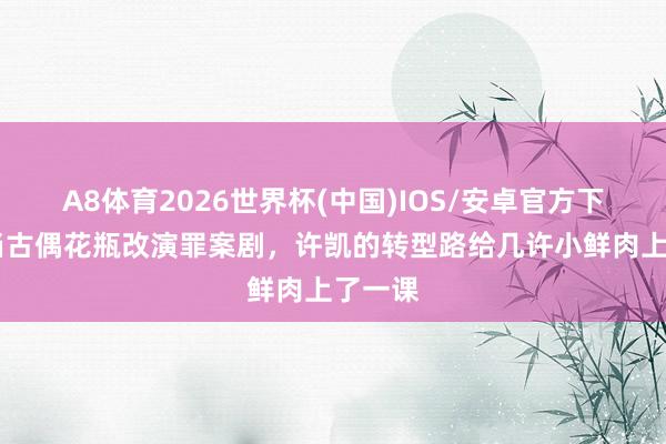 A8体育2026世界杯(中国)IOS/安卓官方下载 拒当古偶花瓶改演罪案剧,许凯的转型路给几许小鲜肉上了一课