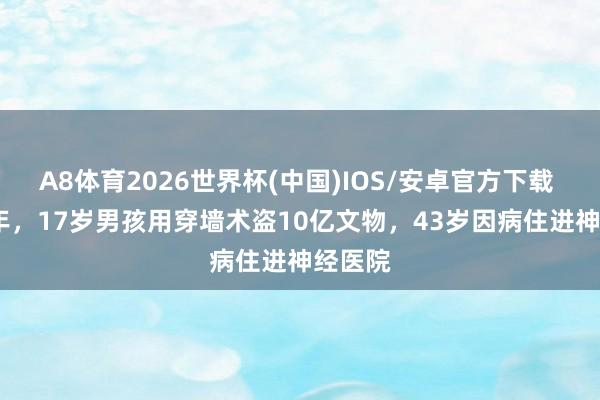 A8体育2026世界杯(中国)IOS/安卓官方下载 1983年,17岁男孩用穿墙术盗10亿文物,43岁因病住进神经医院