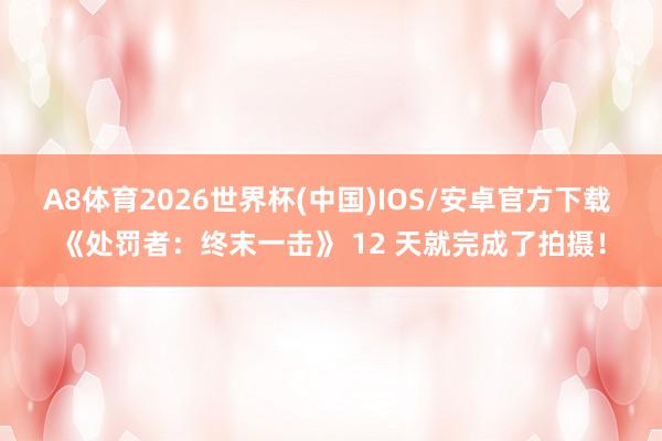 A8体育2026世界杯(中国)IOS/安卓官方下载 《处罚者:终末一击》 12 天就完成了拍摄!
