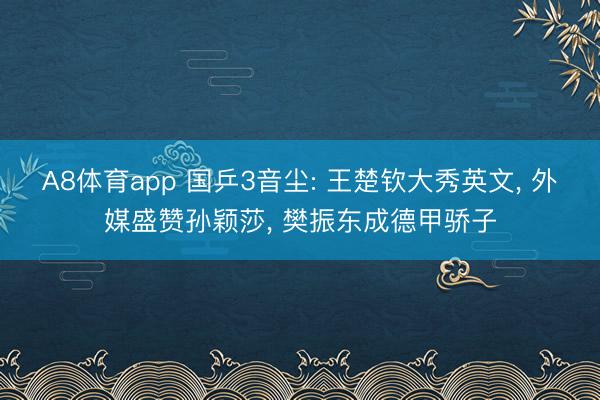A8体育app 国乒3音尘: 王楚钦大秀英文, 外媒盛赞孙颖莎, 樊振东成德甲骄子