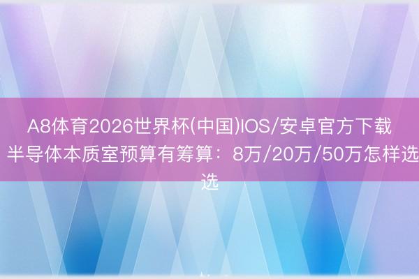A8体育2026世界杯(中国)IOS/安卓官方下载 半导体本质室预算有筹算:8万/20万/50万怎样选