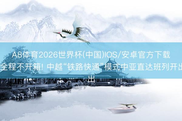 A8体育2026世界杯(中国)IOS/安卓官方下载 全程不开箱! 中越“铁路快通”模式中亚直达班列开出