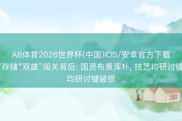 A8体育2026世界杯(中国)IOS/安卓官方下载 国产存储“双雄”闯关背后: 国资布景浑朴， 技艺均研讨键破损