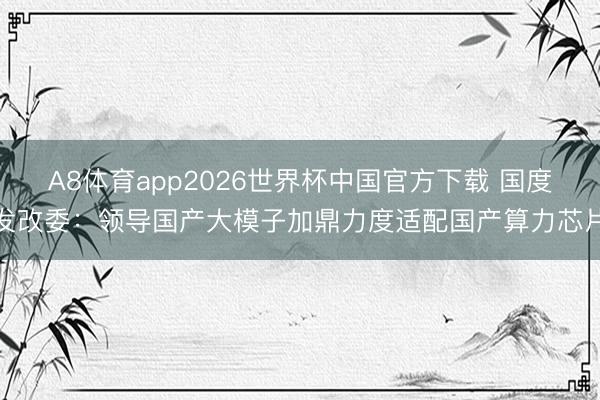 A8体育app2026世界杯中国官方下载 国度发改委:领导国产大模子加鼎力度适配国产算力芯片
