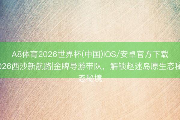 A8体育2026世界杯(中国)IOS/安卓官方下载 2026西沙新航路|金牌导游带队，解锁赵述岛原生态秘境