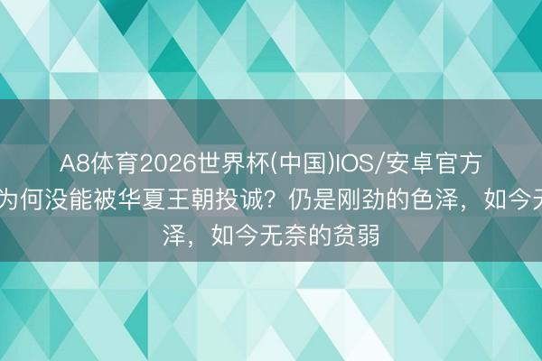 A8体育2026世界杯(中国)IOS/安卓官方下载 缅甸为何没能被华夏王朝投诚?仍是刚劲的色泽,如今无奈的贫弱