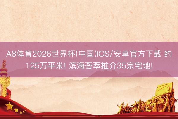 A8体育2026世界杯(中国)IOS/安卓官方下载 约125万平米! 滨海荟萃推介35宗宅地!