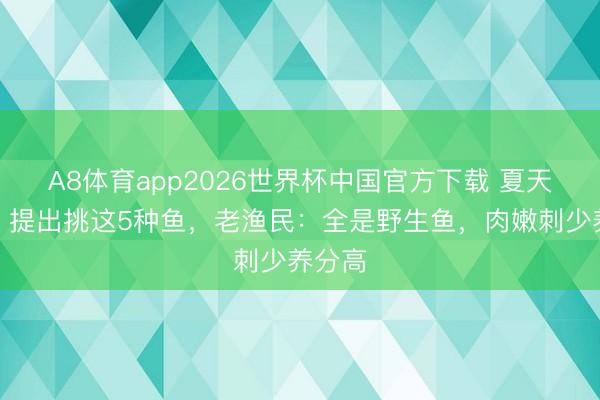 A8体育app2026世界杯中国官方下载 夏天买鱼,提出挑这5种鱼,老渔民:全是野生鱼,肉嫩刺少养分高