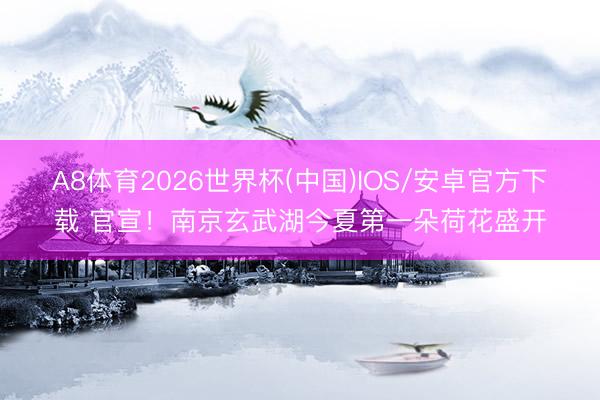 A8体育2026世界杯(中国)IOS/安卓官方下载 官宣!南京玄武湖今夏第一朵荷花盛开