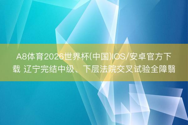 A8体育2026世界杯(中国)IOS/安卓官方下载 辽宁完结中级、下层法院交叉试验全障翳
