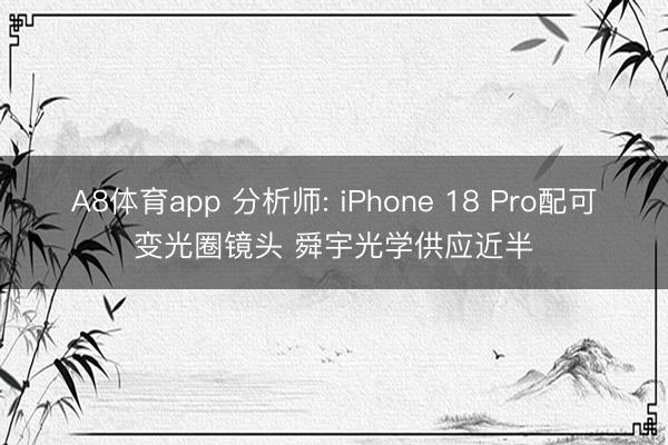A8体育app 分析师: iPhone 18 Pro配可变光圈镜头 舜宇光学供应近半