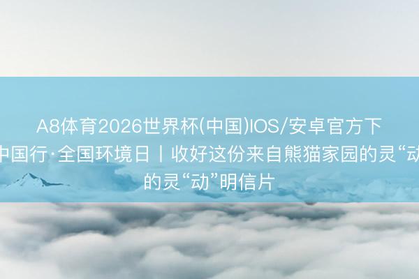 A8体育2026世界杯(中国)IOS/安卓官方下载 清秀中国行·全国环境日丨收好这份来自熊猫家园的灵“动”明信片
