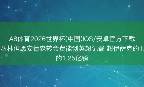 A8体育2026世界杯(中国)IOS/安卓官方下载 曼晚：丛林但愿安德森转会费能创英超记载 超伊萨克的1.25亿镑