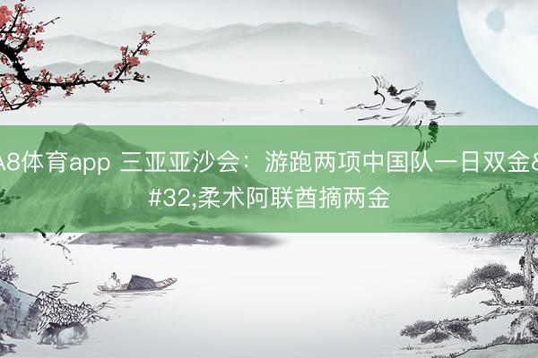 A8体育app 三亚亚沙会：游跑两项中国队一日双金 柔术阿联酋摘两金
