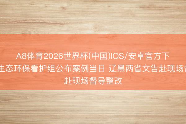 A8体育2026世界杯(中国)IOS/安卓官方下载 中央生态环保看护组公布案例当日 辽黑两省文告赴现场督导整改