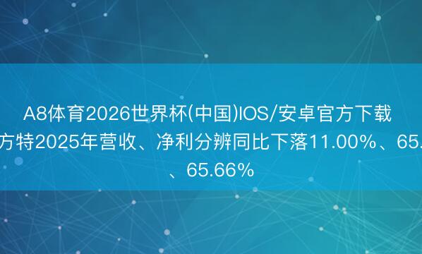 A8体育2026世界杯(中国)IOS/安卓官方下载 华强方特2025年营收、净利分辨同比下落11.00％、65.66％