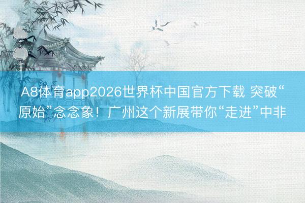 A8体育app2026世界杯中国官方下载 突破“原始”念念象！广州这个新展带你“走进”中非