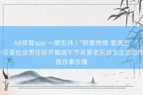 A8体育app 一眼宏伟 | “粽香传情 爱满宏伟”——区委社会责任部开展端午节关爱老东说念主志愿作事步履